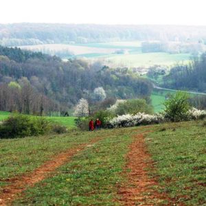 Le sentier des Pelouses (13km)